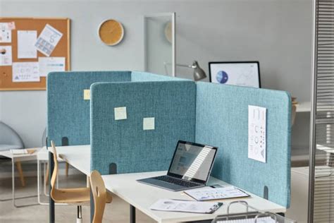 thisvid office